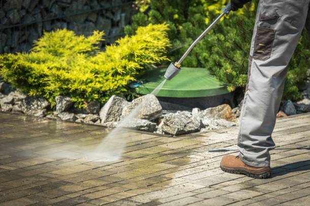 Best Winterizing Services  in Roman Forest, TX